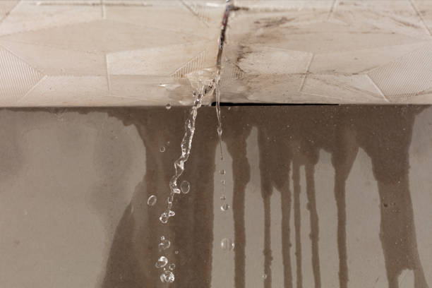 Professional Structural Drying technician working in Bancroft, MI